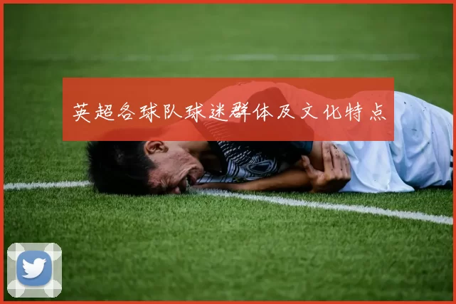 英超各球队球迷群体及文化特点