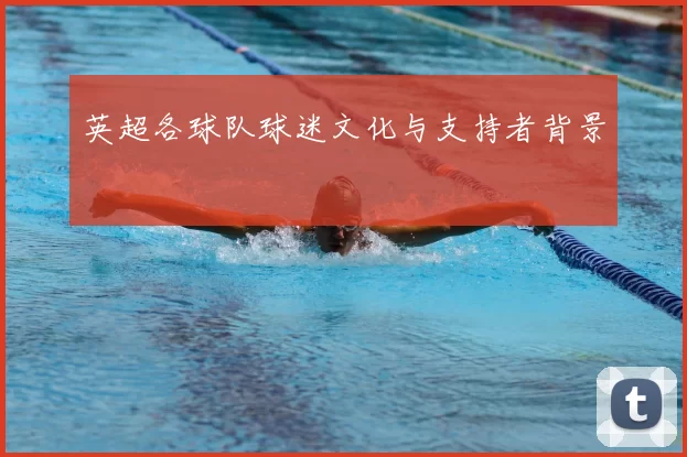 英超各球队球迷文化与支持者背景