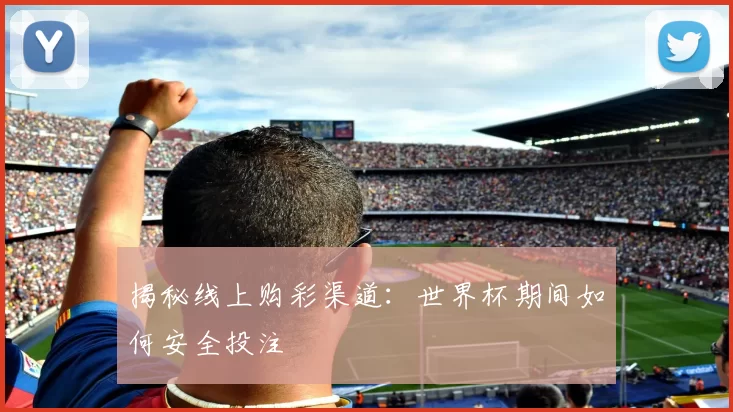 揭秘线上购彩渠道:世界杯期间如何安全投注