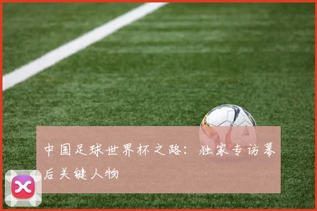 中国足球世界杯之路:独家专访幕后关键人物