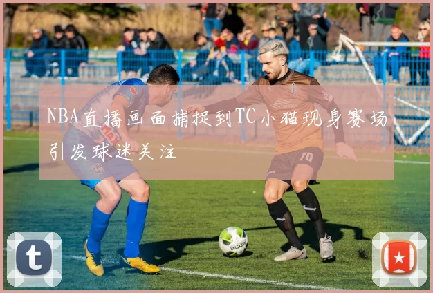 NBA直播画面捕捉到TC小猫现身赛场引发球迷关注