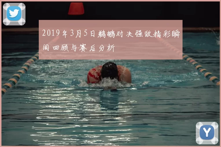 2019年3月5日鹈鹕对决强敌精彩瞬间回顾与赛后分析