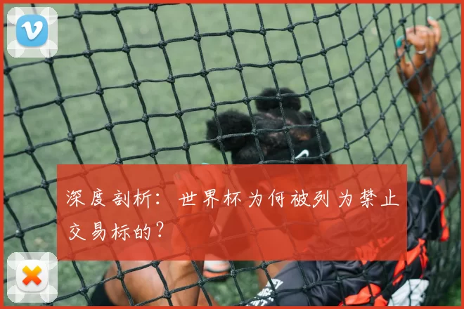 深度剖析:世界杯为何被列为禁止交易标的?