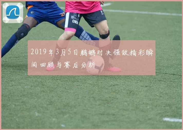 2019年3月5日鹈鹕对决强敌精彩瞬间回顾与赛后分析