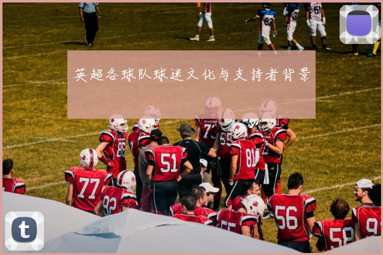 英超各球队球迷文化与支持者背景