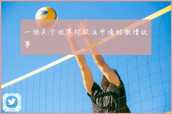 一场关于世界杯投注申请的激情故事