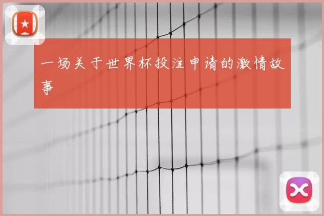 一场关于世界杯投注申请的激情故事