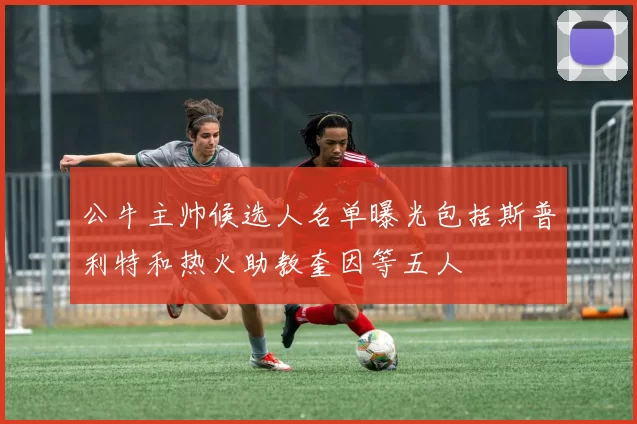 公牛主帅候选人名单曝光包括斯普利特和热火助教奎因等五人