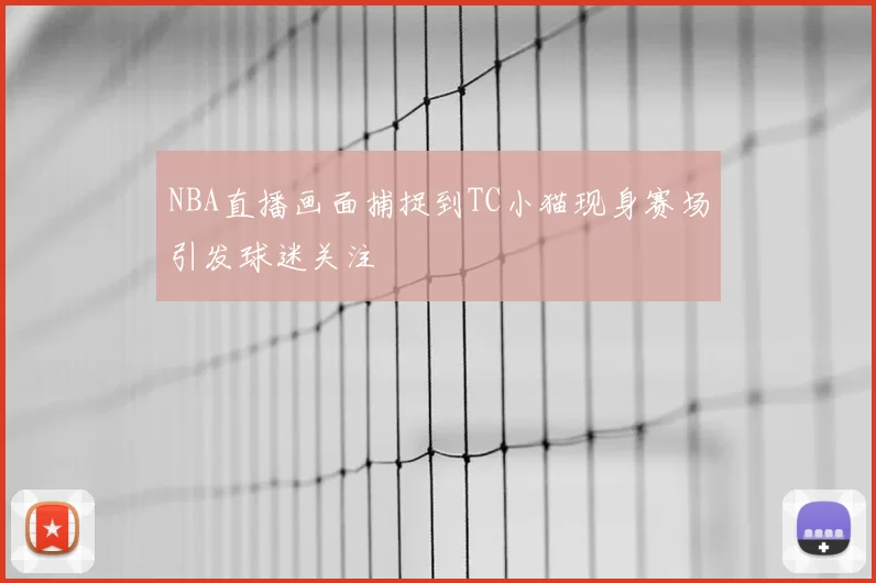 NBA直播画面捕捉到TC小猫现身赛场引发球迷关注