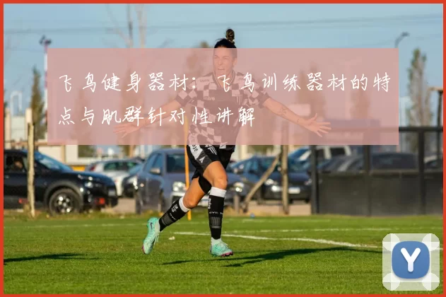 飞鸟健身器材：飞鸟训练器材的特点与肌群针对性讲解