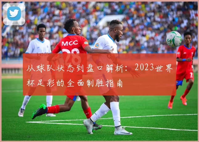 从球队状态到盘口解析：2023世界杯足彩的全面制胜指南