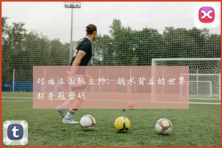 对话法国队主帅：战术背后的世界杯夺冠密码