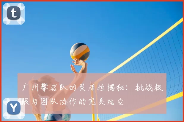 广州攀岩队的灵活性揭秘：挑战极限与团队协作的完美结合